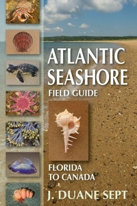 Enlarge image Cover: Atlantic Seashore Field Guide - Stackpole Books