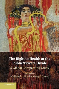 Enlarge image Cover: The Right to Health at the Public/Private Divide - Cambridge University Press