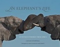 Cover: Elephant's Life - Globe Pequot Press