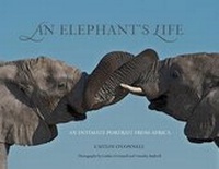 Enlarge image Cover: Elephant's Life - Globe Pequot Press