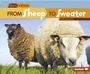 Cover: From Sheep to Sweater - Lerner Publishing Group