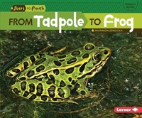 Enlarge image Cover: From Tadpole to Frog - Lerner Publishing Group