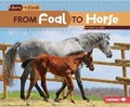 Cover: From Foal to Horse - Lerner Publications (Tm)