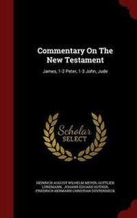 Enlarge image Cover: Commentary on the New Testament - Andesite Press