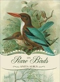 Cover: On Rare Birds - The Lyons Press
