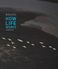 Enlarge image Cover: Biology: How Life Works - W.H.Freeman & Co Ltd