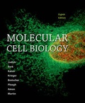 Cover: Molecular Cell Biology - W.H.Freeman & Co Ltd