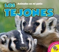 Cover: Los Tejones - Av2 Spanish and English eBooks