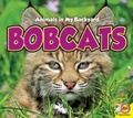 Cover: Bobcats - Av2 by Weigl