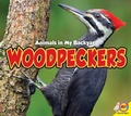 Cover: Woodpeckers - Av2 by Weigl