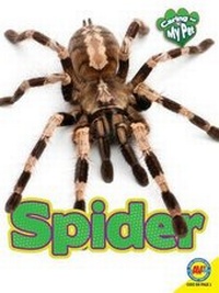 Enlarge image Cover: Spider - Av2 by Weigl