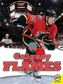 Cover: Calgary Flames - Av2 by Weigl