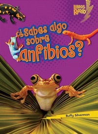 Abbildung von: ?Sabes algo sobre anfibios? (Do You Know about Amphibians?) - Lerner Publishing Group