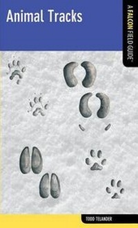 Enlarge image Cover: Animal Tracks - Globe Pequot Press