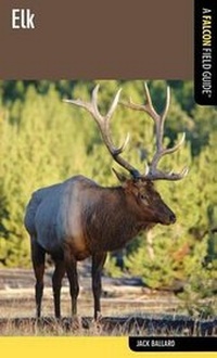 Enlarge image Cover: Elk - Globe Pequot Press