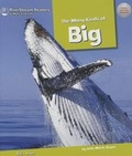 Cover: The Many Kinds of Big - Riverstream