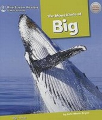 Enlarge image Cover: The Many Kinds of Big - Riverstream