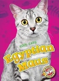 Cover: Egyptian Maus - Bellwether Media