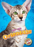 Cover: Orientals - Bellwether Media
