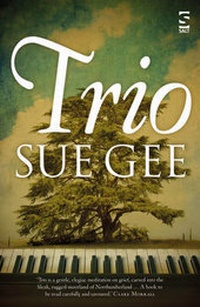 Enlarge image Cover: Trio - Salt Publishing