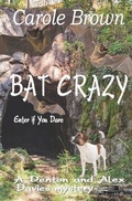 Cover: Bat Crazy - Story and Logic Media Group