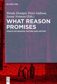 Enlarge image Cover: What Reason Promises - De Gruyter