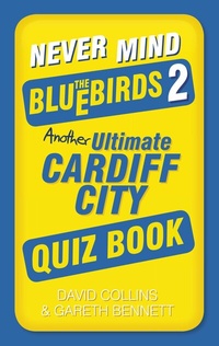Abbildung von: Never Mind the Bluebirds 2 - The History Press Ltd