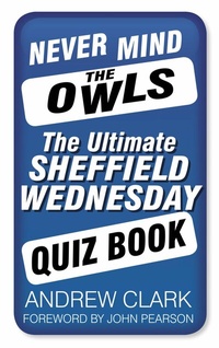 Abbildung von: Never Mind the Owls - The History Press Ltd