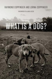 Enlarge image Cover: What Is a Dog? - University of Chicago Press