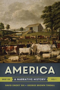 Enlarge image Cover: America - WW Norton & Co