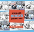 Cover: Explosion Rocks Springfield - FENCE BOOKS