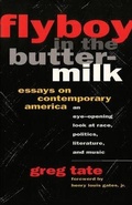 Cover: Flyboy in the Buttermilk: Essays on Contemporary America - Touchstone Books