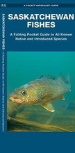 Cover: Saskatchewan Fishes - Waterford Press Ltd