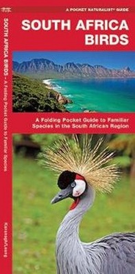 Abbildung von: South Africa Birds - Waterford Press Ltd