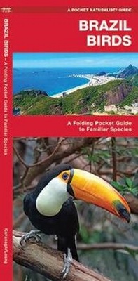 Abbildung von: Brazil Birds - Waterford Press Ltd