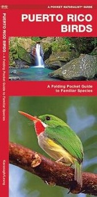 Abbildung von: Puerto Rico Birds - Waterford Press Ltd