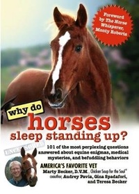 Enlarge image Cover: Why Do Horses Sleep Standing Up? - Health Communications
