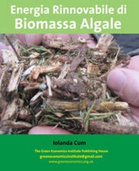 Enlarge image Cover: Energia Rinnovabile di Biomassa Algale (Italian Language) - The Green Economics Institute