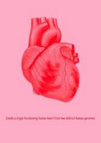 Enlarge image Cover: Create a Single Functioning Human Heart from Two Distinct Human Genomes - greyisgood