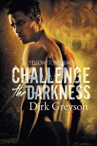Enlarge image Cover: Challenge the Darkness Volume 1 - Dreamspinner Press