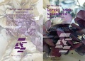 Cover: Gorzki smak szczescia - Lichtig