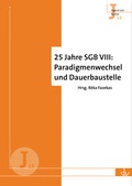 Cover: 25 Jahre SGB VIII: Paradigmenwechsel und Dauerbaustelle - Lambertus