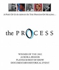 Cover: The Process - Hci