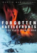 Cover: Forgotten Battlefronts of the First World War - The History Press Ltd