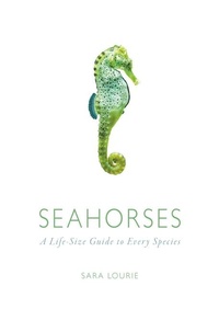 Abbildung von: Seahorses - University of Chicago Press