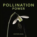 Cover: Pollination Power - University of Chicago Press