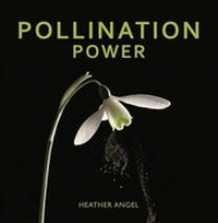 Enlarge image Cover: Pollination Power - University of Chicago Press