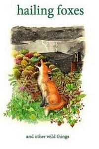Enlarge image Cover: Hailing Foxes - Gert Macky Books