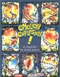 Cover: Emotion Explosion! - Struik Christian Books