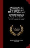 Cover: A Treatise On the Construction and Effect of Statute Law - Andesite Press